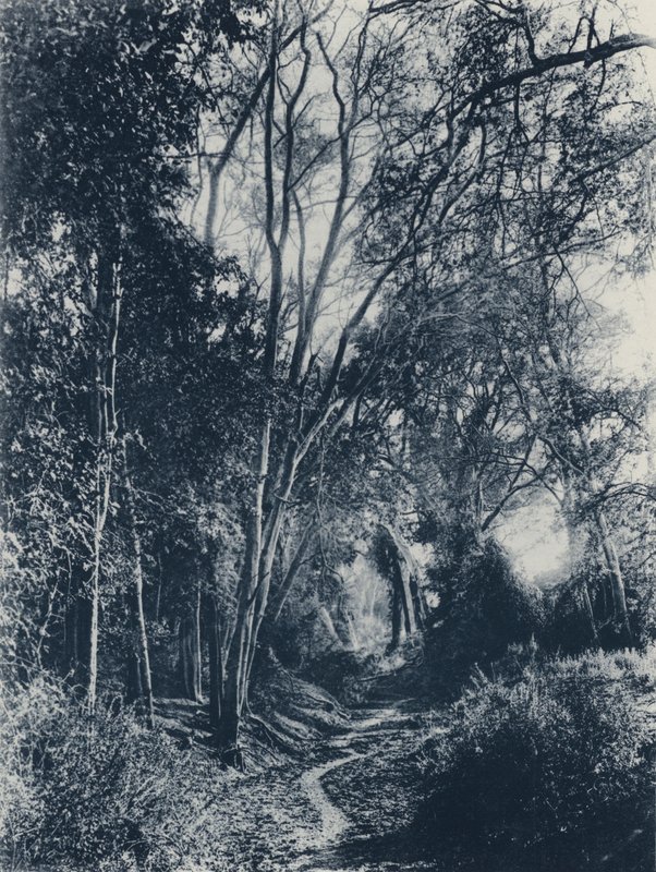 Scene in Lydenburg District by South African Photographer