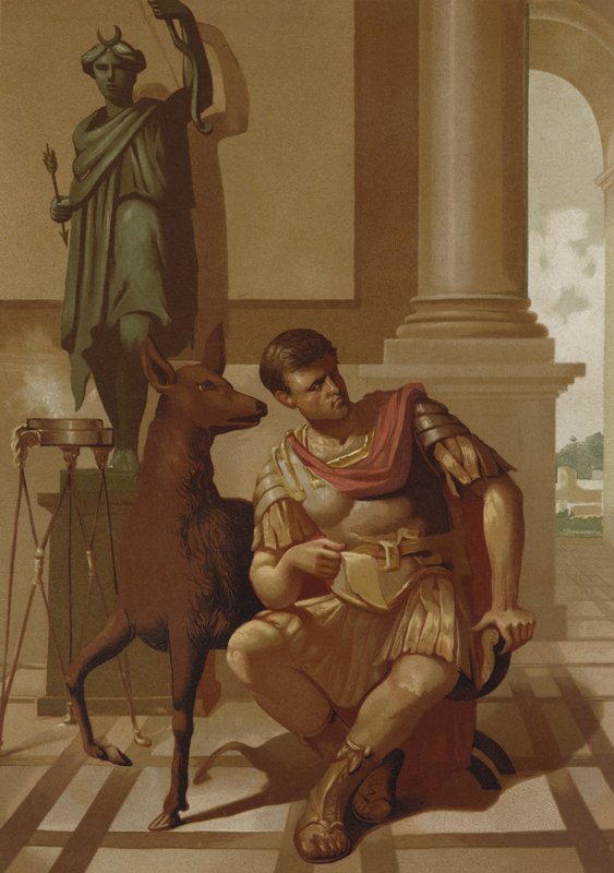 Quintus Sertorius and His Fawn by Spanish School