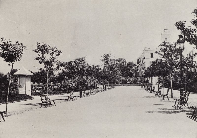 Cadiz: Alameda de Apodaca by Spanish Photographer