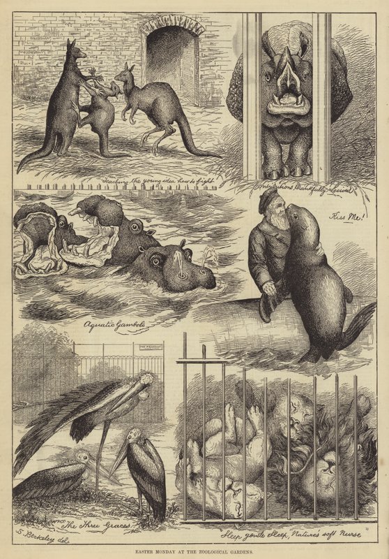 Easter Monday at the Zoological Gardens by Stanley Berkeley