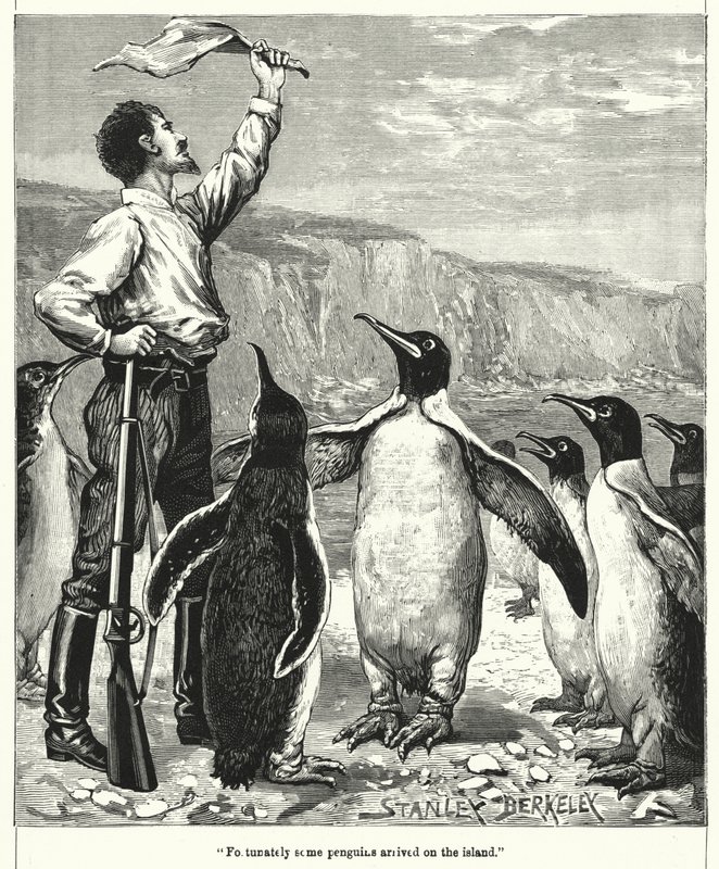 Fortunately some penguins arrived on the island by after Stanley Berkeley