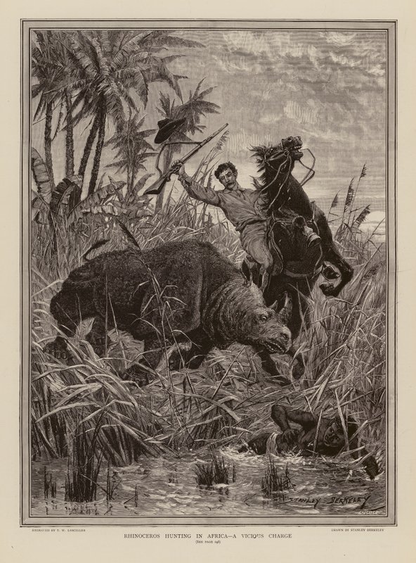 Rhinoceros Hunting in Africa by Stanley (after) Berkeley