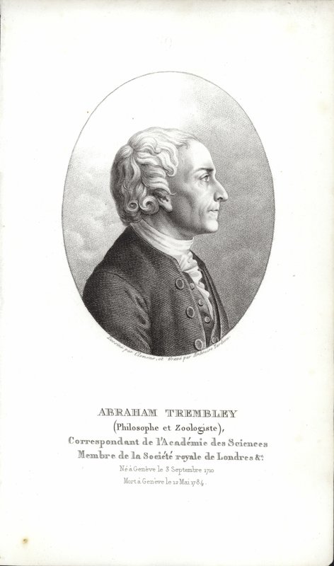 Abraham Trembley by Swiss School