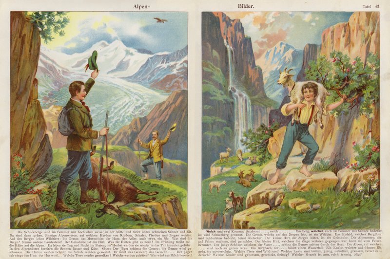 Alpine Scenes by Swiss School