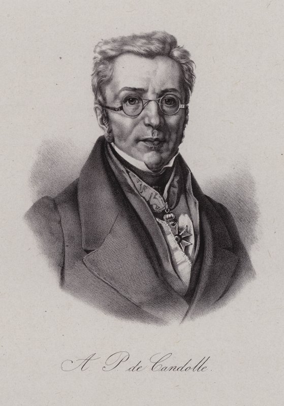 Augustin Pyramus de Candolle, Swiss botanist by Swiss School