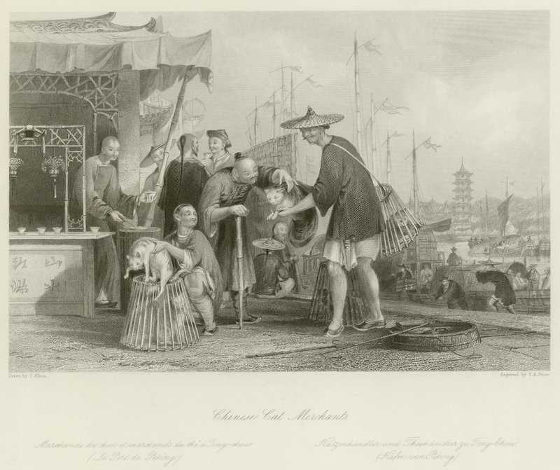Chinese Cat Merchants by Thomas Allom