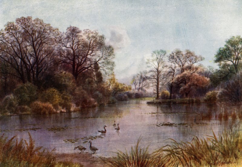 Kew Gardens: The Lake by Thomas Mower Martin