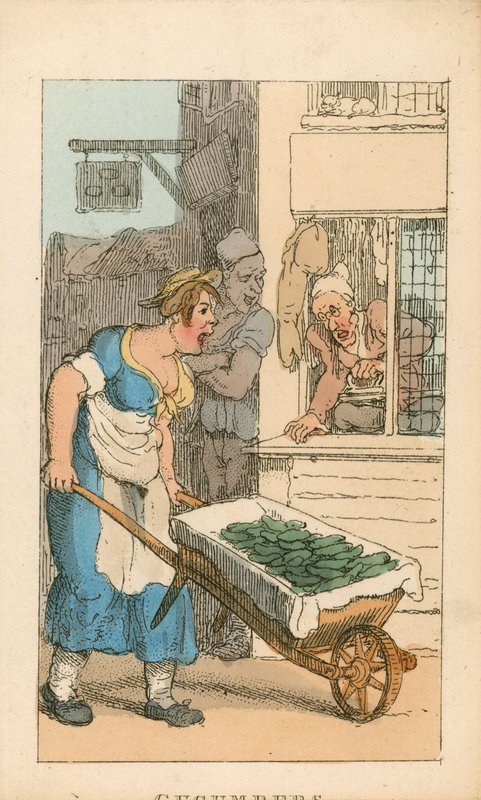 Cucumbers by Thomas Rowlandson