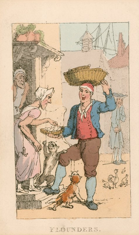 Flounders by Thomas Rowlandson