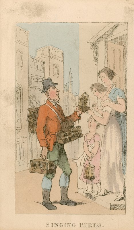 Singing Birds by Thomas Rowlandson