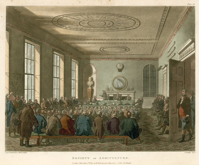 Society of Agriculture by Thomas Rowlandson