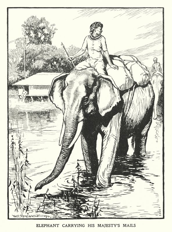 Elephant Carrying His Majesty