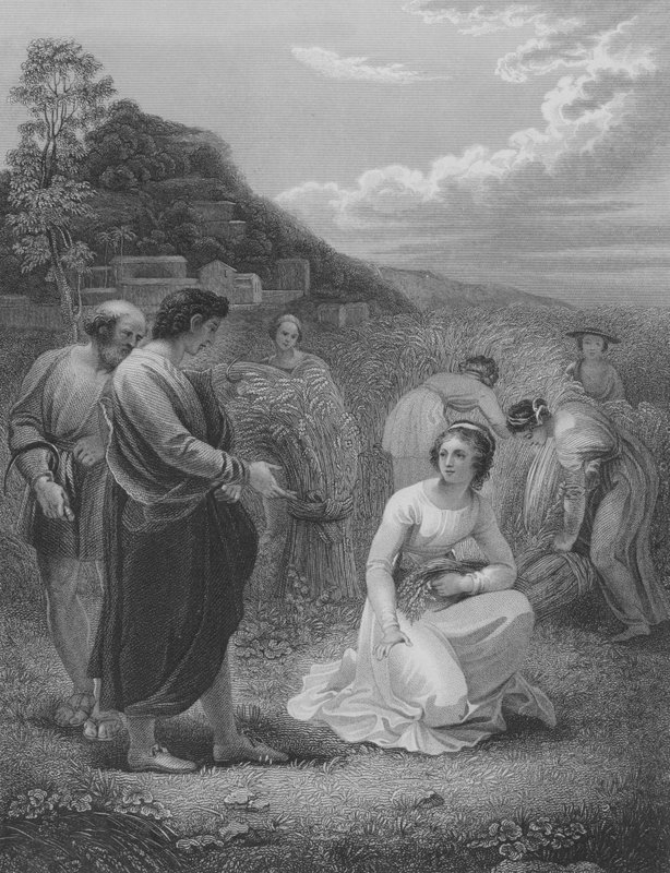 Ruth Gleaning, Ruth 2, Verse 1-15 by Thomas Stothard