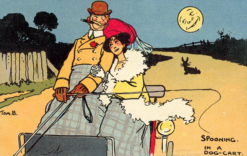 Spooning in a Dog Cart by Tom Browne