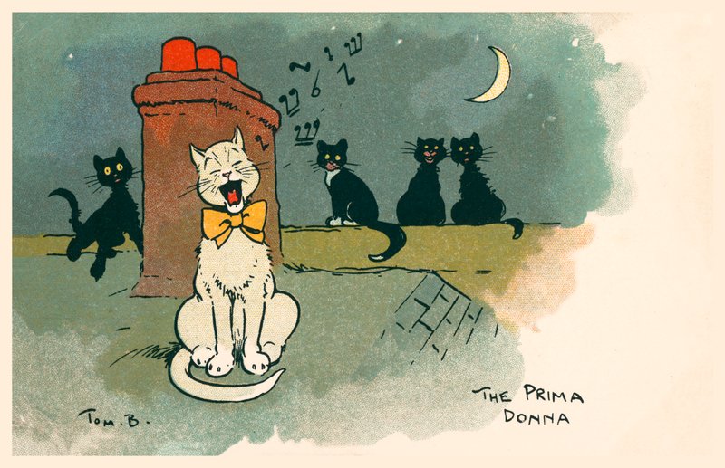 The Prima Donna by Tom Browne