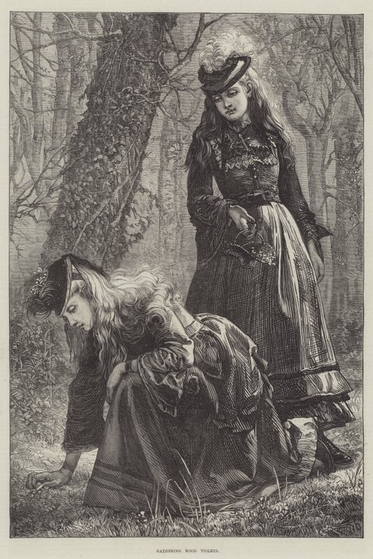 Gathering Wood Violets by Walter Duncan