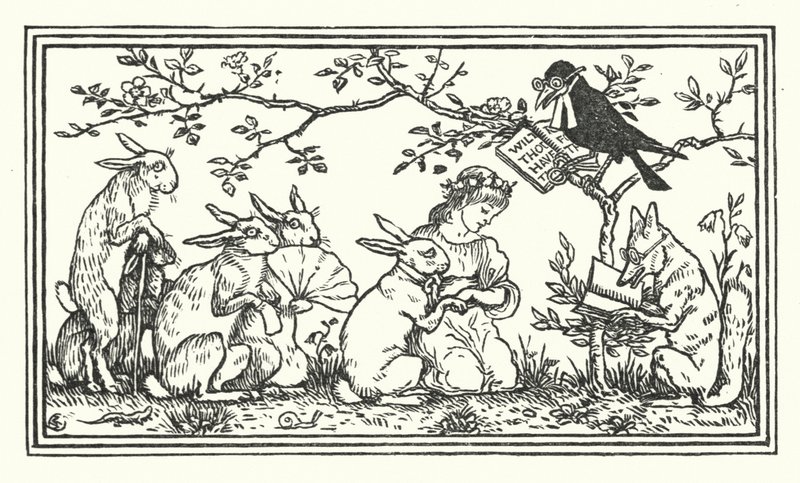 The Rabbit