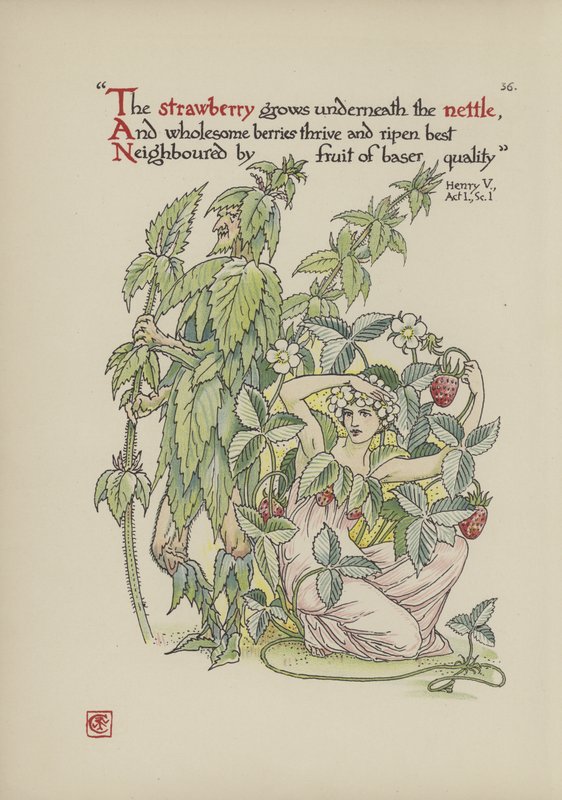 Flowers from Shakespeare