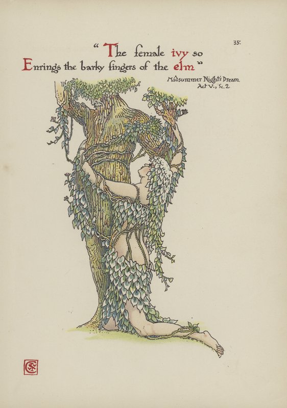 Flowers from Shakespeare