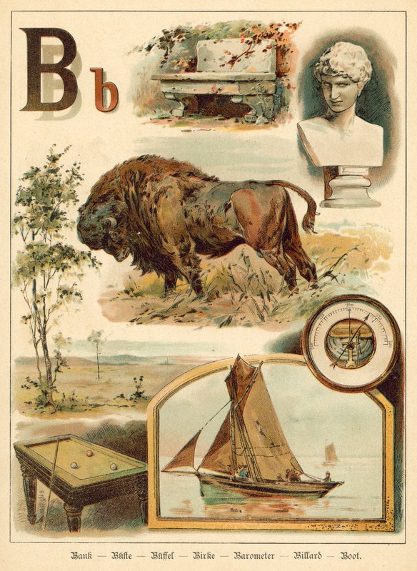 Letter B by Walter Zweigle