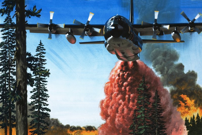 Bombing a Forest Fire by Wilf (20th century) Hardy