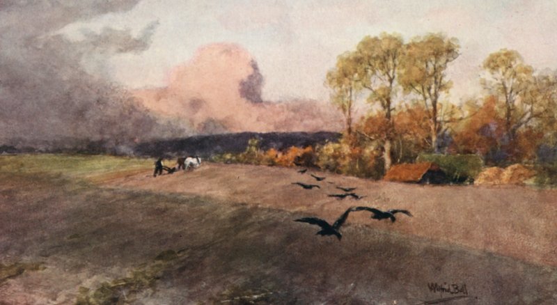 Ploughing by Wilfrid Williams Ball