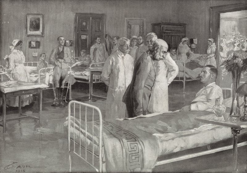 Visit of Franz Joseph of Austria to a Military Hospital in Vienna by Wilhelm Gause