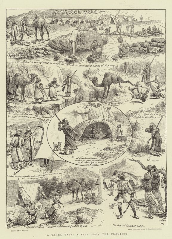 A Camel Tale, A Fact from the Frontier by William Ralston