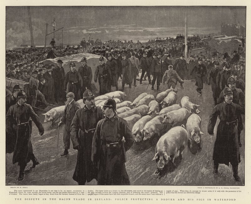 The Dispute in the Bacon Trade in Ireland, Police Protecting a Drover and His Pigs in Waterford by William Small