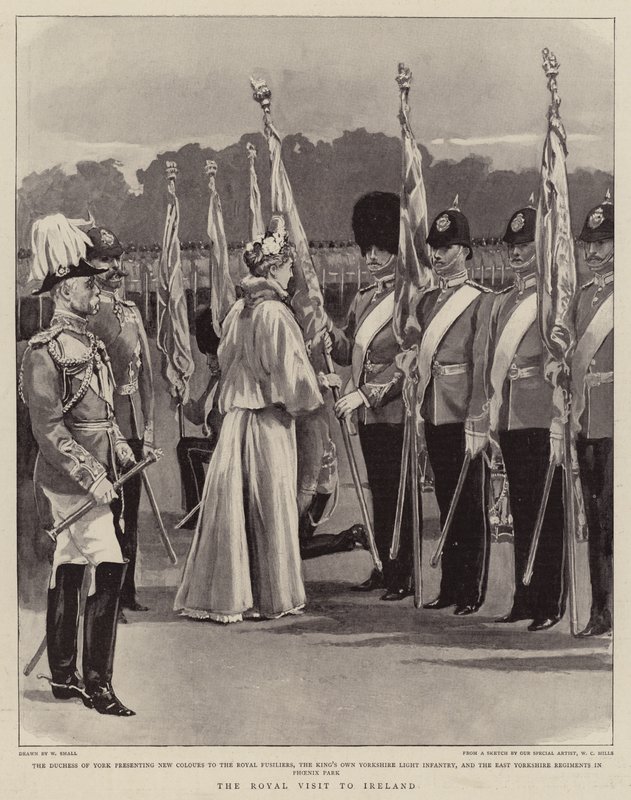 The Royal Visit to Ireland by William Small