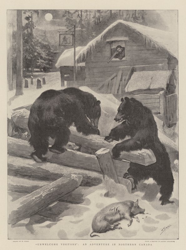 Unwelcome Visitors, an Adventure in Northern Canada by William Small