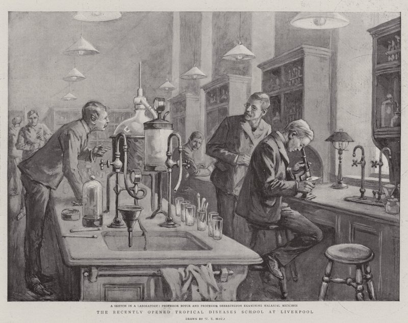 The Recently Opened Tropical Diseases School at Liverpool by William T. Maud