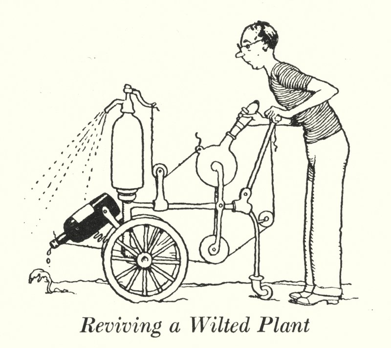 Reviving a Wilted Plant (lithograph) by William Heath Robinson