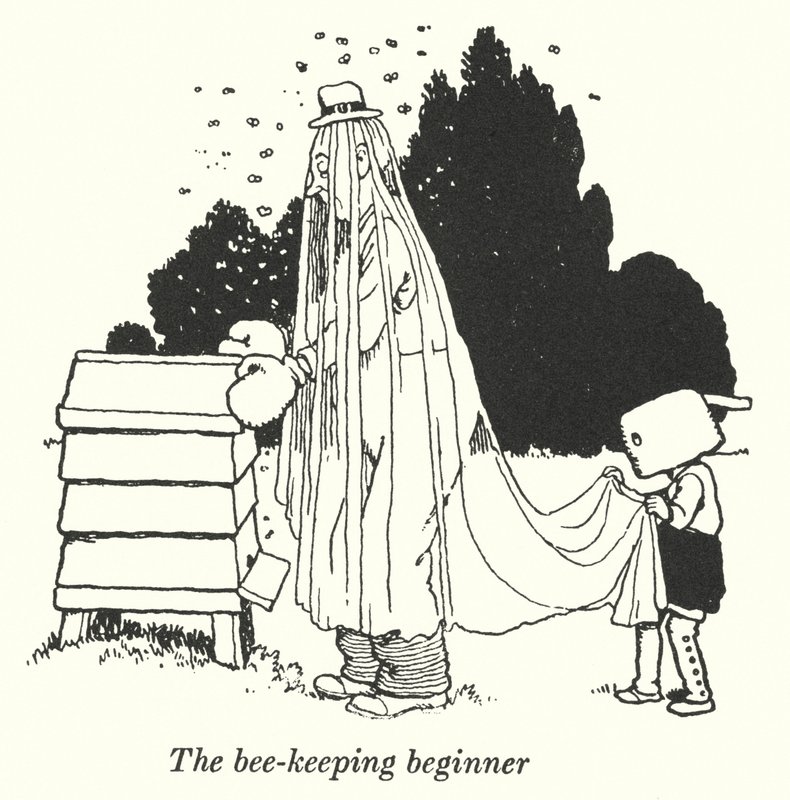 The Bee-Keeping Beginner by William Heath Robinson