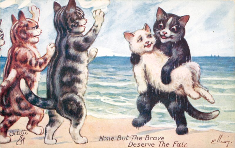 Humorous Cat Postcard by William Henry Ellam