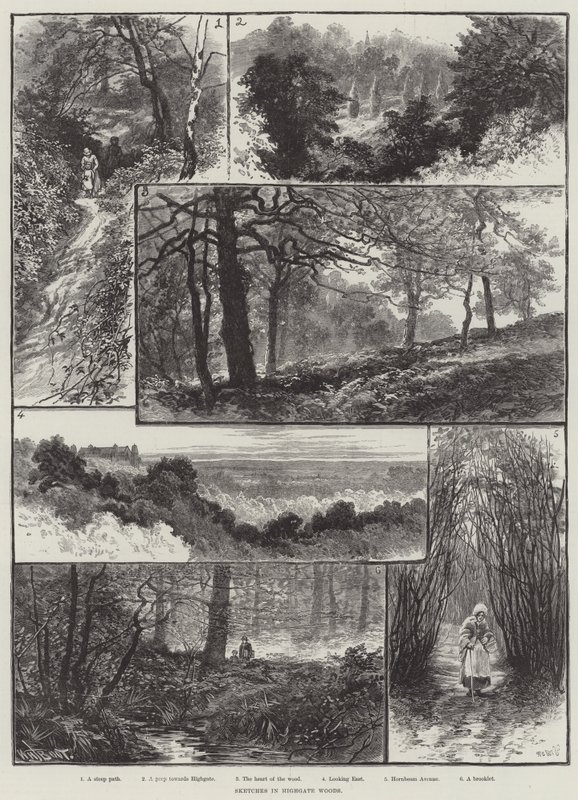 Sketches in Highgate Woods by William Henry James Boot