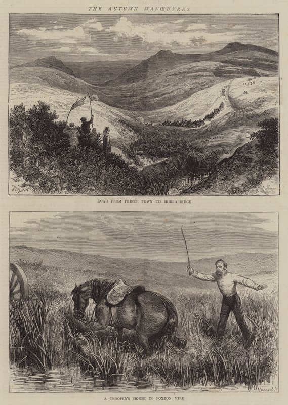 The Autumn Manoeuvres by William Henry James Boot