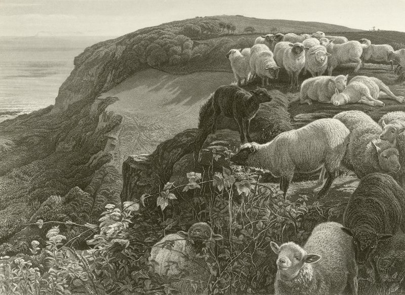 On the Hillside by William Holman Hunt