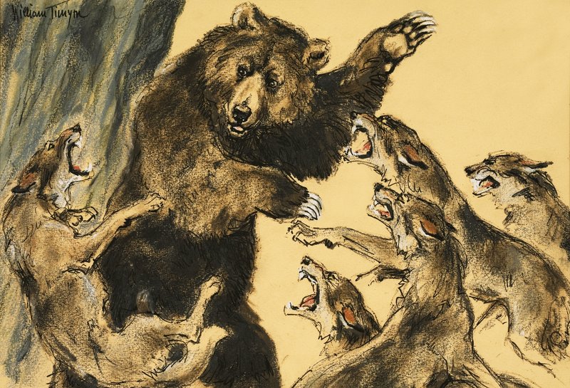 Bear Fighting Wolves by William Timyn