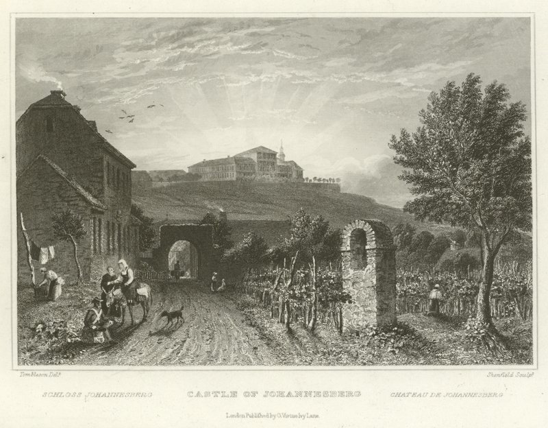 Castle of Johannesberg by William Tombleson