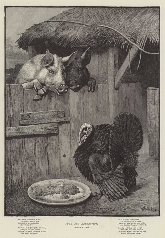 Food for Reflection by William Weekes