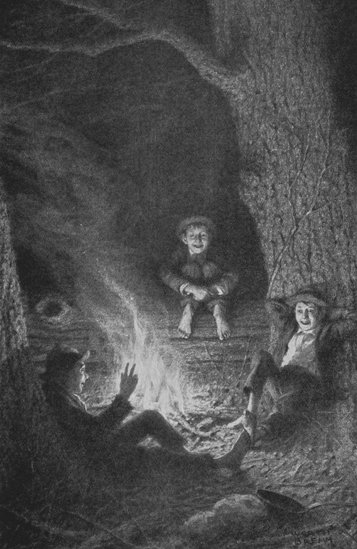 The Pirates by Worth Brehm