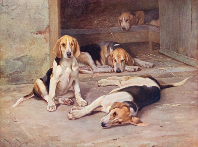 Puppy Days by Wright Barker