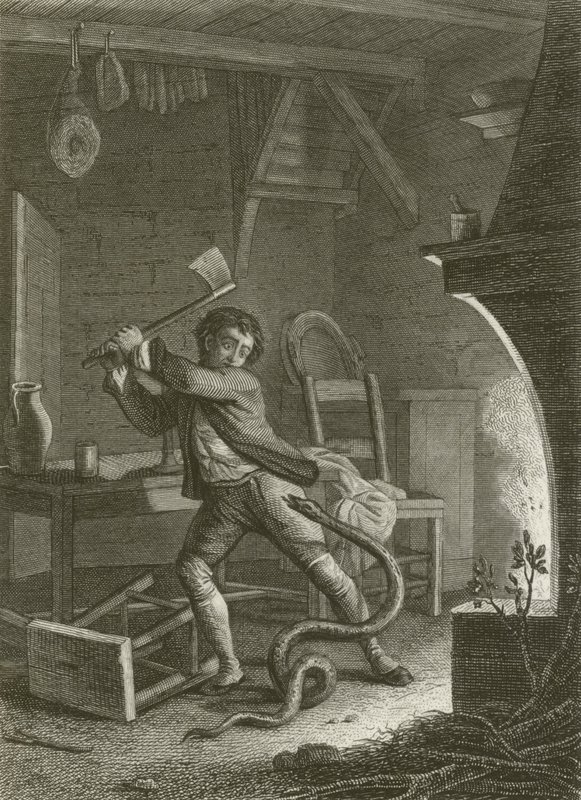 The Villager and the Serpent by after Tony Johannot