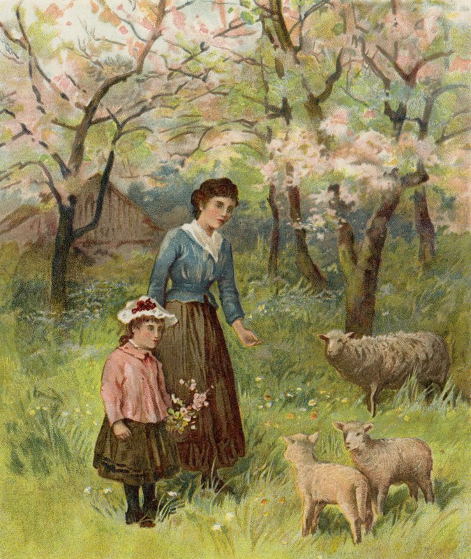 Apple Blossoms by after William Henry James Boot